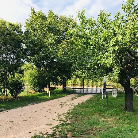 Una Casa Di Campagna Доссобуоно Екстер'єр фото
